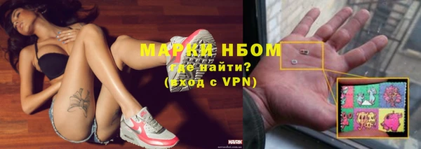 стафф Зерноград