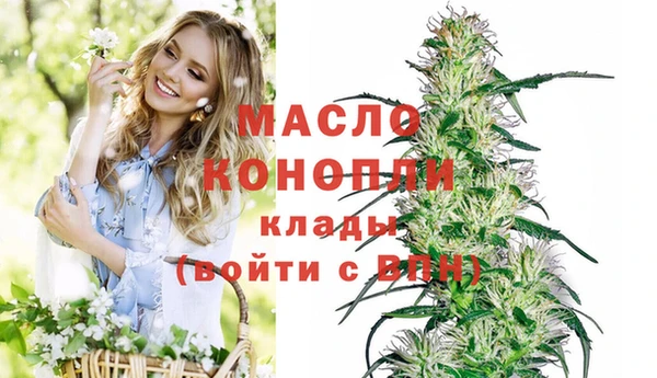 ECSTASY Инта