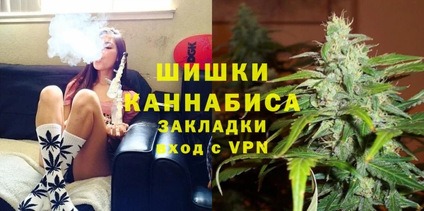 стафф Зерноград