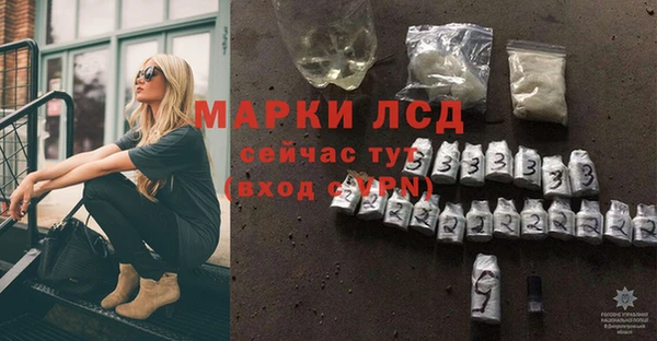 стафф Зерноград