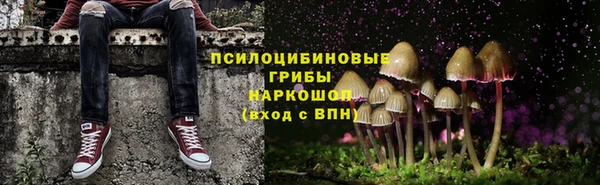 стафф Зерноград